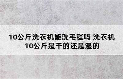 10公斤洗衣机能洗毛毯吗 洗衣机10公斤是干的还是湿的